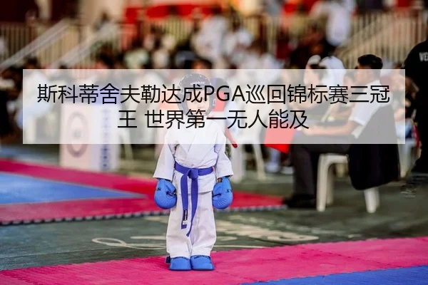 si-ke-di-she-fu-lei-da-cheng-xun-hui-jin-biao-sai-san-guan-wang-shi-jie-di-yi-wu-ren-neng-ji-2-267.jpg